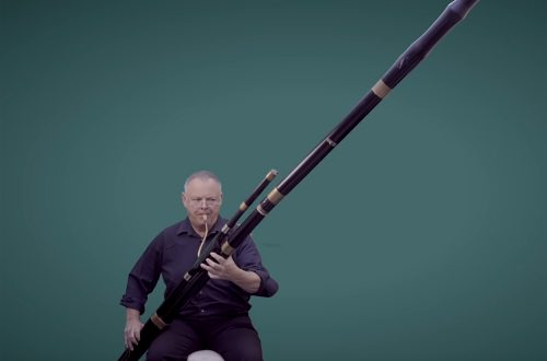 Introducing Beethoven&#8217;s Contrabassoon