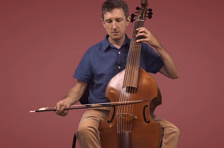 Introducing the Viola da Gamba